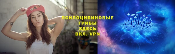 бутират Алзамай
