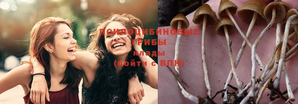 прущая мука Алексеевка