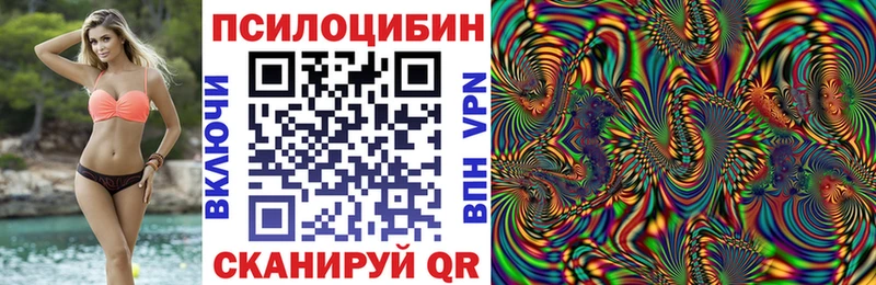 купить наркотики цена Ессентукская Псилоцибиновые грибы мицелий